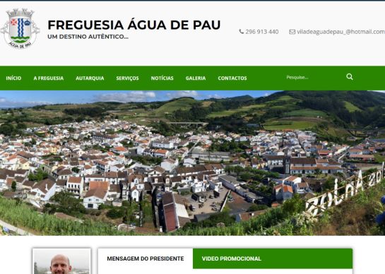 website projects cropped