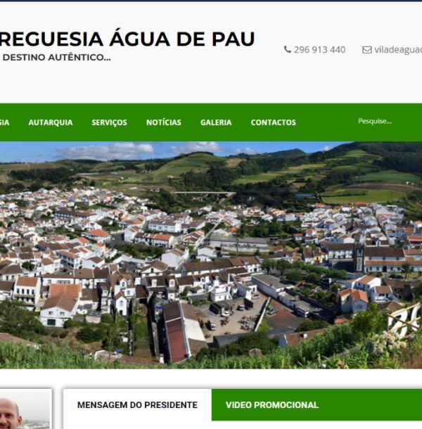 website projects cropped