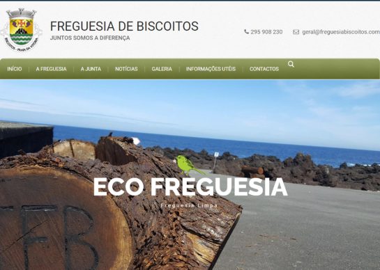 website projects cropped
