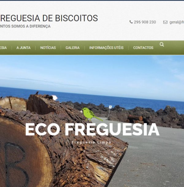 website projects cropped