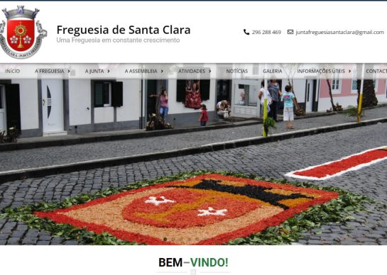website projects cropped
