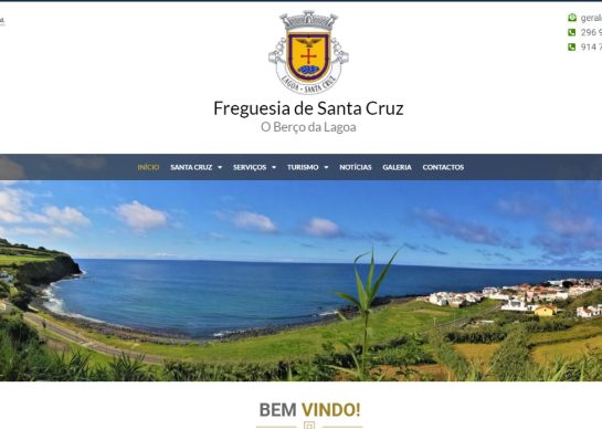 website projects cropped