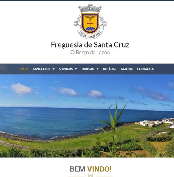 website projects cropped